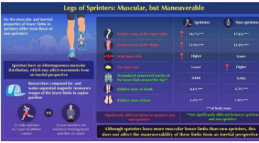 对短跑运动员和非短跑运动员腿部形态的比较分析揭示了令人惊讶的结果