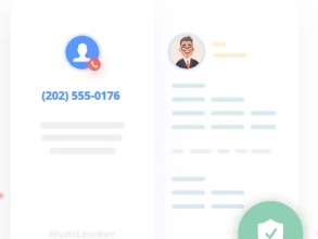 NumLooker概述在线进行免费的反向电话查询