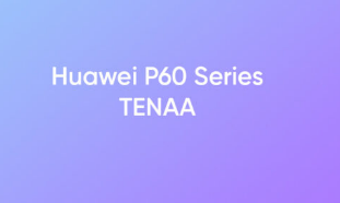 华为P60系列完成TENAA认证