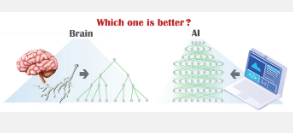 大脑学习弱于人工智能