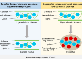 打破木质纤维素生物质水热碳化的温度障碍