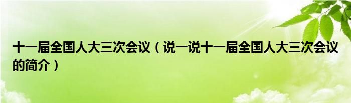 十一届全国人大三次会议（说一说十一届全国人大三次会议的简介）