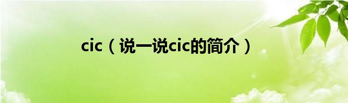 cic（说一说cic的简介）