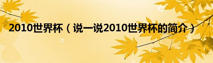 2010世界杯（说一说2010世界杯的简介）