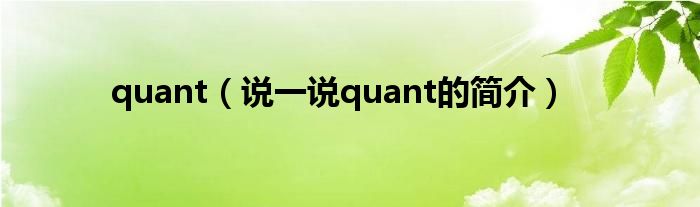 quant（说一说quant的简介）