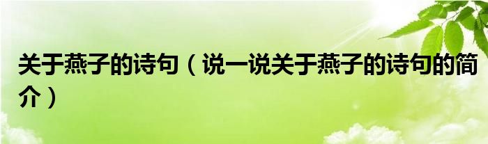 关于燕子的诗句（说一说关于燕子的诗句的简介）