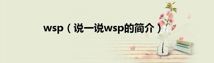 wsp（说一说wsp的简介）