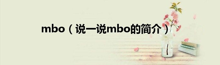 mbo（说一说mbo的简介）