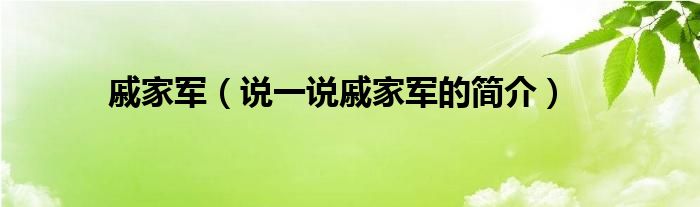 戚家军（说一说戚家军的简介）