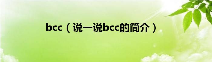 bcc（说一说bcc的简介）