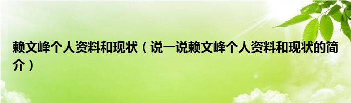 赖文峰个人资料和现状（说一说赖文峰个人资料和现状的简介）