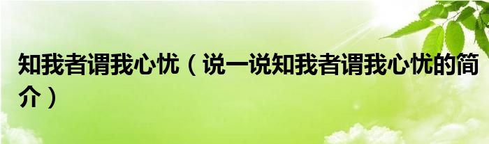 知我者谓我心忧（说一说知我者谓我心忧的简介）