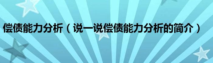 偿债能力分析（说一说偿债能力分析的简介）