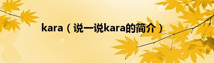 kara（说一说kara的简介）