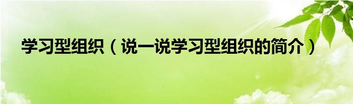 学习型组织（说一说学习型组织的简介）