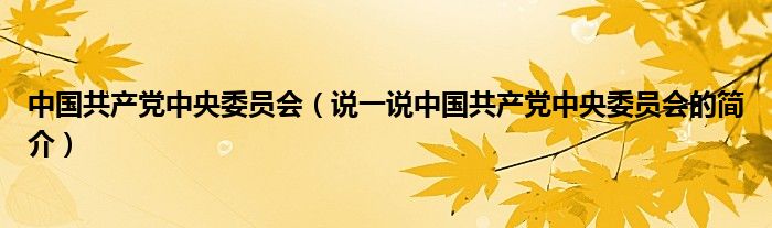 中国共产党中央委员会（说一说中国共产党中央委员会的简介）