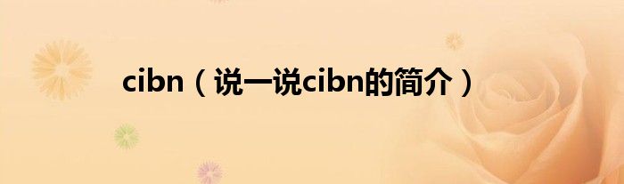 cibn（说一说cibn的简介）