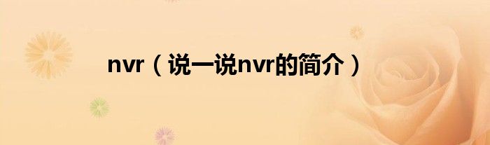 nvr（说一说nvr的简介）