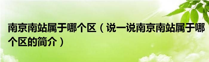 南京南站属于哪个区（说一说南京南站属于哪个区的简介）