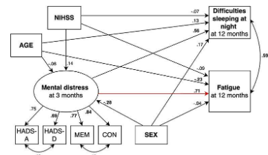 科学家研究缺血性中风后报告的疲劳和白天睡眠增加