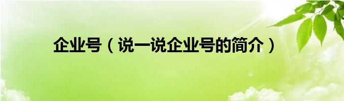 企业号（说一说企业号的简介）