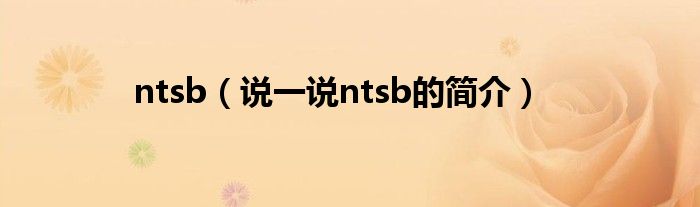 ntsb（说一说ntsb的简介）