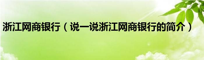 浙江网商银行（说一说浙江网商银行的简介）