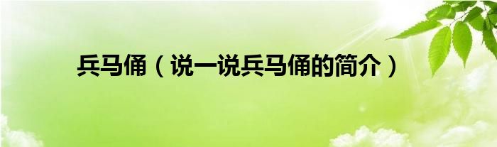 兵马俑（说一说兵马俑的简介）