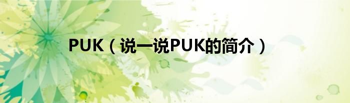 PUK（说一说PUK的简介）