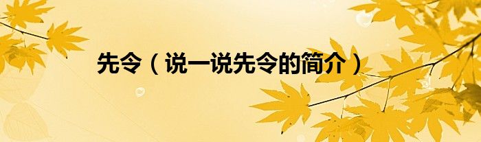 先令（说一说先令的简介）