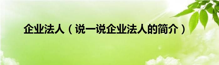 企业法人（说一说企业法人的简介）