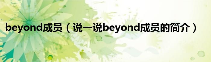 beyond成员（说一说beyond成员的简介）