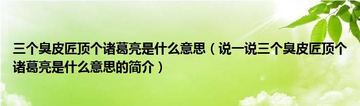 三个臭皮匠顶个诸葛亮是什么意思（说一说三个臭皮匠顶个诸葛亮是什么意思的简介）