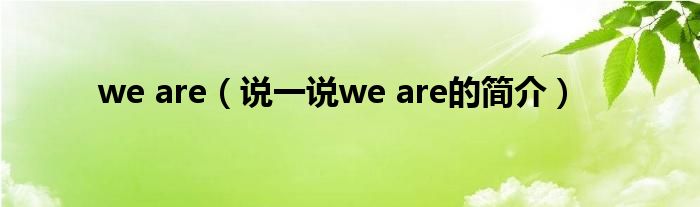 we are（说一说we are的简介）