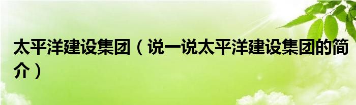 太平洋建设集团（说一说太平洋建设集团的简介）