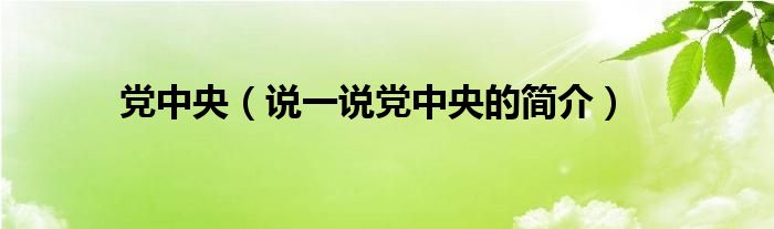 党中央（说一说党中央的简介）