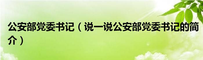 公安部党委书记（说一说公安部党委书记的简介）