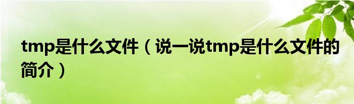 tmp是什么文件（说一说tmp是什么文件的简介）