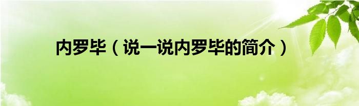 内罗毕（说一说内罗毕的简介）