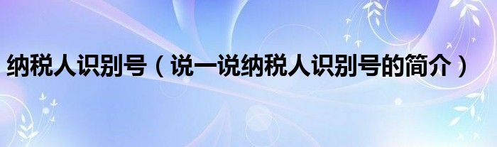 纳税人识别号（说一说纳税人识别号的简介）