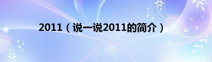 2011（说一说2011的简介）