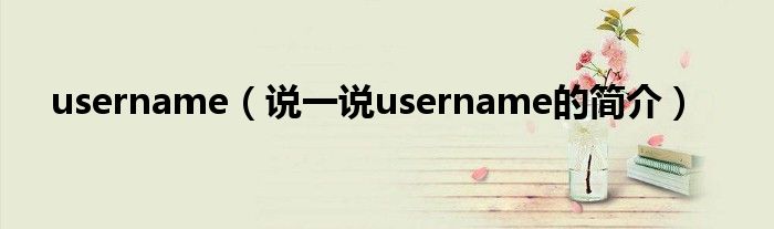 username（说一说username的简介）