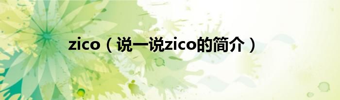 zico（说一说zico的简介）