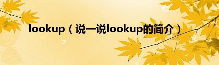 lookup（说一说lookup的简介）