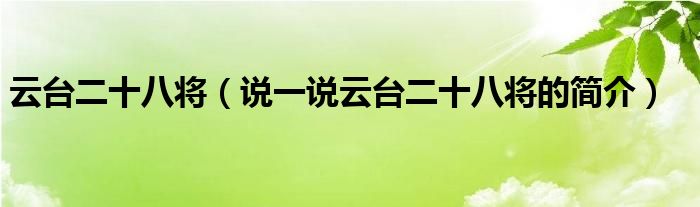 云台二十八将（说一说云台二十八将的简介）