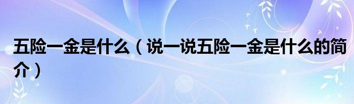 五险一金是什么（说一说五险一金是什么的简介）