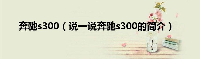 奔驰s300（说一说奔驰s300的简介）