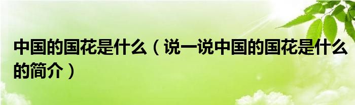 中国的国花是什么（说一说中国的国花是什么的简介）