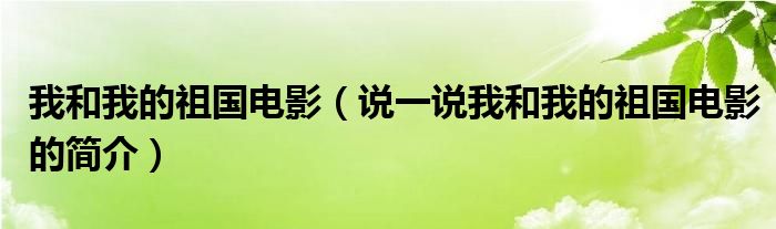 我和我的祖国电影（说一说我和我的祖国电影的简介）