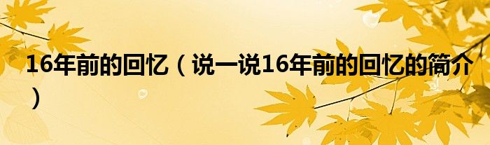 16年前的回忆（说一说16年前的回忆的简介）